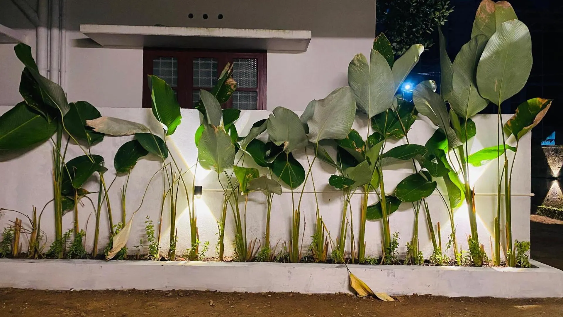Villa Calathea Varkala India