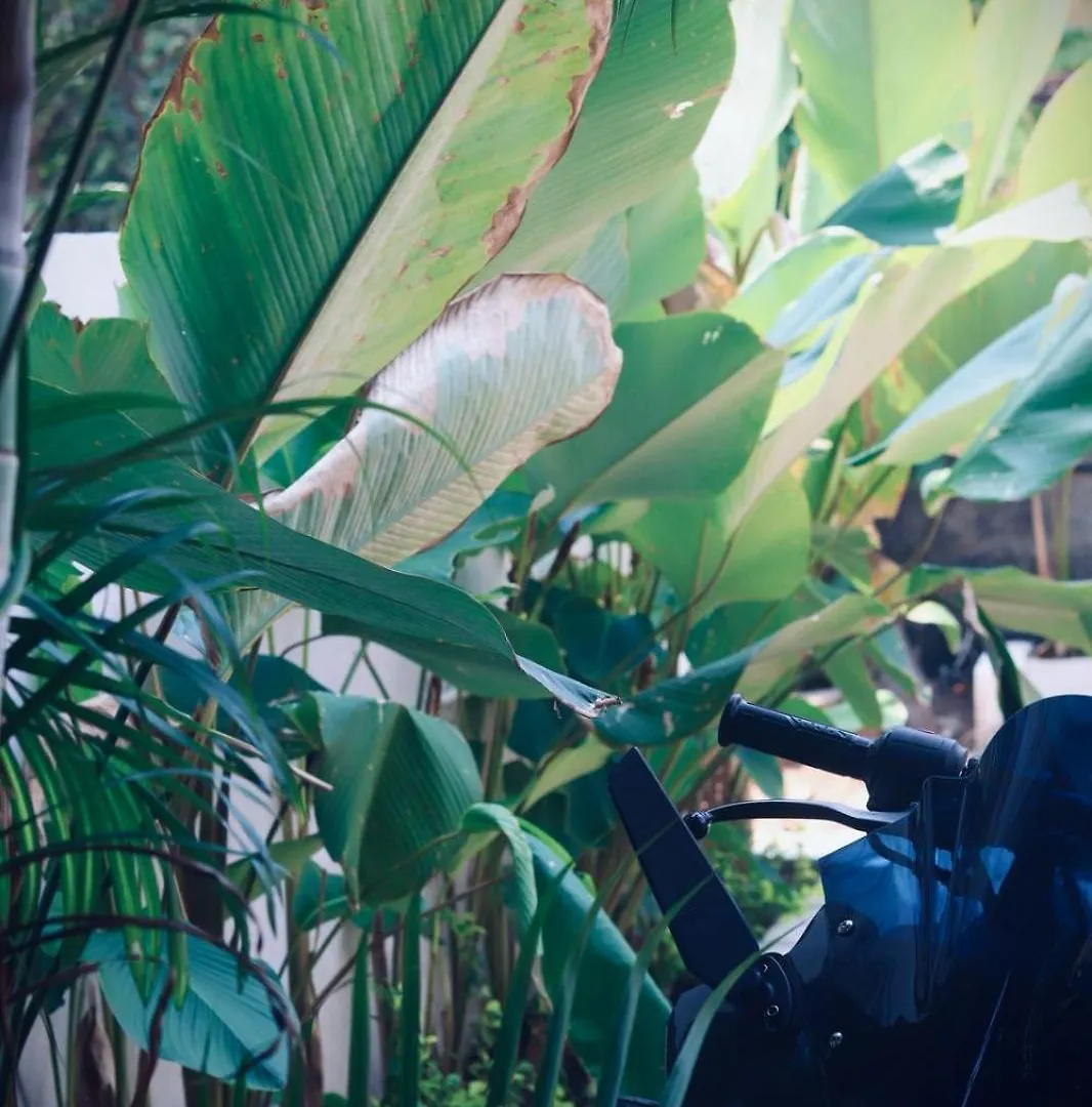 Villa Calathea Varkala Indie